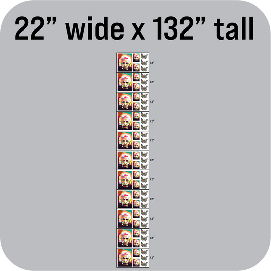 DTF Sheet 22" wide x 132" tall