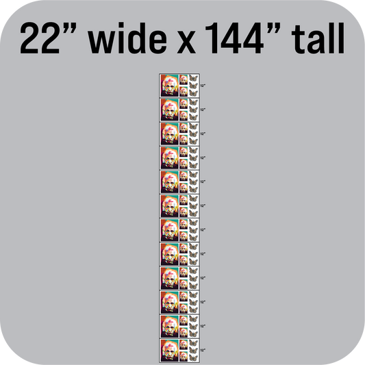 DTF Sheet 22" wide x 144" tall